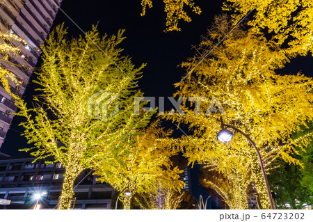 光が丘公園のイルミネーション　東京夜景 64723202