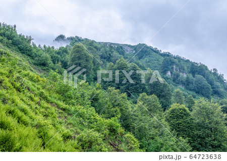 High mountain with green rocky slopes hidden in dense fog. 64723638