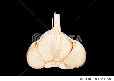 ニンニク 64724156