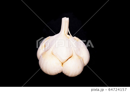 ニンニク 64724157