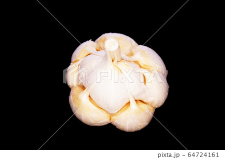 ニンニク 64724161