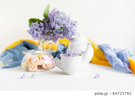 Lilac fresh flowers on the white background. Spring concept Lilac fresh flowers on the white background. Spring concept 64725762
