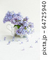 Lilac fresh flowers on the white background. Spring concept 64725940
