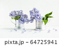 Lilac fresh flowers on the white background. Spring concept 64725941