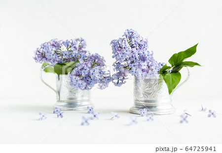 Lilac fresh flowers on the white background. Spring concept 64725941