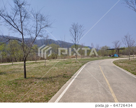 自然 自然の風景 公園 64726434