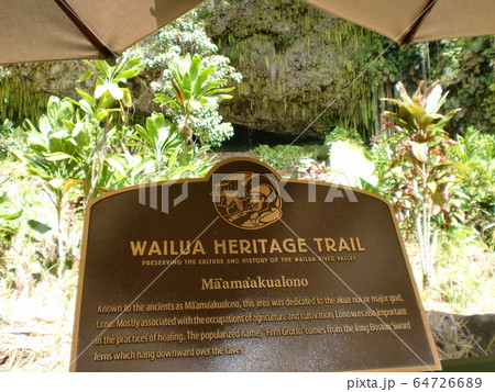 シダの洞窟の看板 64726689