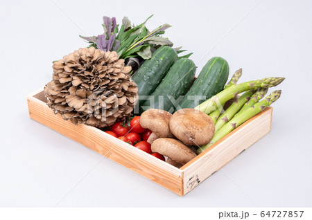 加賀野菜 太きゅうり 舞茸 ミディアムトマト 金時草 加賀野菜 太きゅうり 舞茸 ミディアムトマト 金時草 64727857