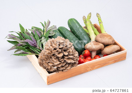 加賀野菜　太きゅうり　舞茸　ミディアムトマト　金時草 64727861