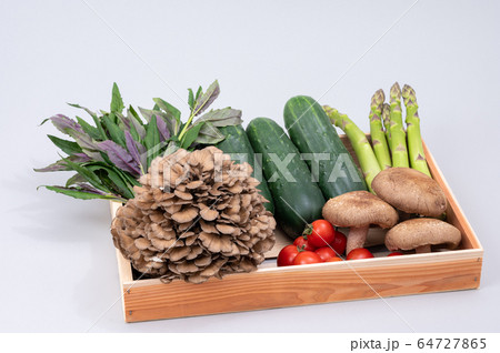 加賀野菜 太きゅうり 舞茸 ミディアムトマト 金時草 加賀野菜 太きゅうり 舞茸 ミディアムトマト 金時草 64727865