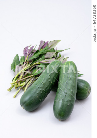 加賀野菜　太きゅうり　金時草　野菜 64728360