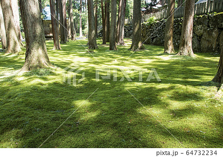平泉寺白山神社 平泉寺白山神社 64732234