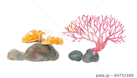 海のサンゴ２種の水彩イラストのイラスト素材