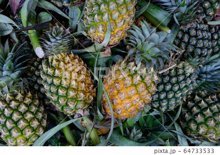 Heap of yellow pineapple at market 64733533