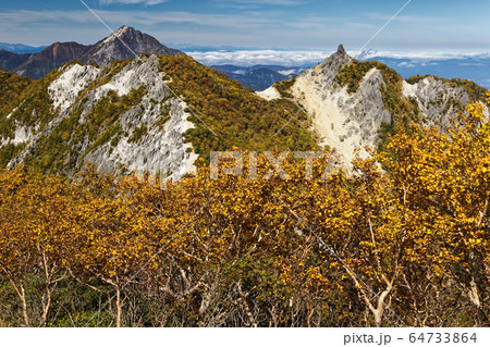 鳳凰三山・地蔵岳とダケカンバの黄葉 鳳凰三山・地蔵岳とダケカンバの黄葉 64733864