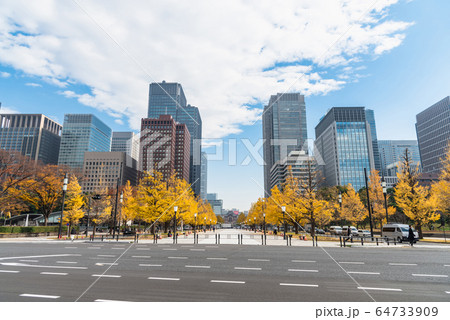 Buildings in Tokyo with autumn leaves 64733909