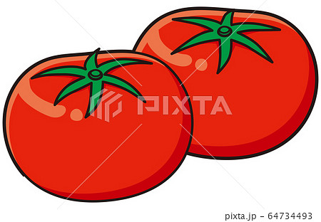 トマト 64734493