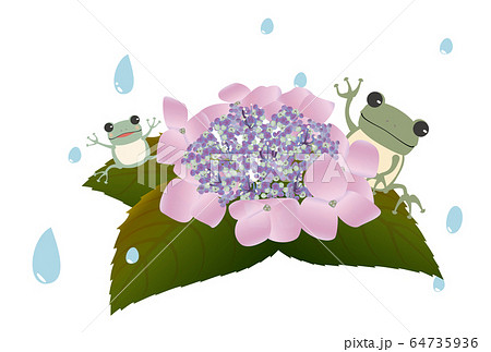 紫のアジサイとカエルの梅雨のイメージのイラスト素材