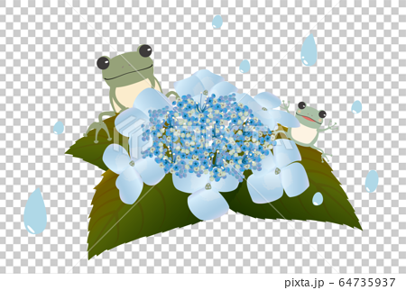 水色のアジサイとカエルの梅雨のイメージのイラスト素材