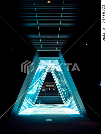 潮目のトンネル　撮影許可・協力：アクアマリンふくしま 64736023