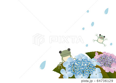 カエルと紫陽花のポストカード 横のイラスト素材