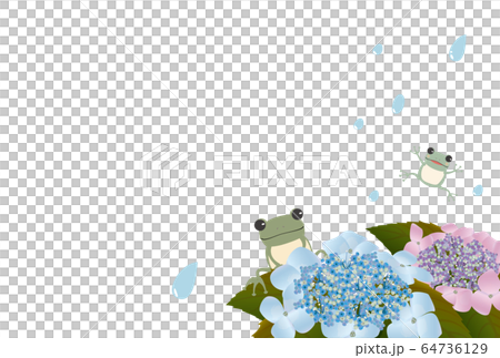 カエルと紫陽花のポストカード 横のイラスト素材