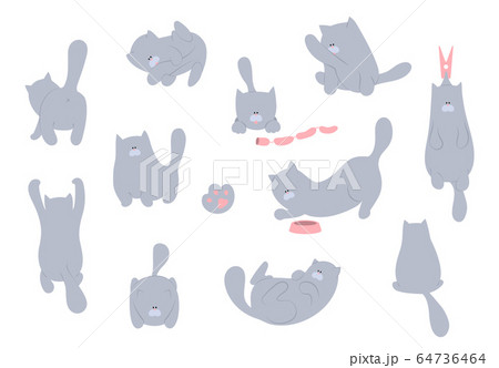 Cat vector illustration. Set cartoon cats flat Cat vector illustration. Set cartoon cats flat 64736464