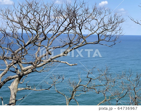 Sea 海 64736967