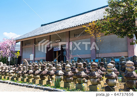 元興寺 境内風景 浮図田と法輪館 (奈良県奈良市) 元興寺 境内風景 浮図田と法輪館 (奈良県奈良市) 64737656