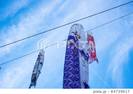5月の風物詩 空泳ぐ 鯉のぼりの写真素材
