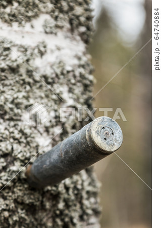 an old used large caliber cartridge case protrudes from an old used large caliber cartridge case protrudes from 64740884