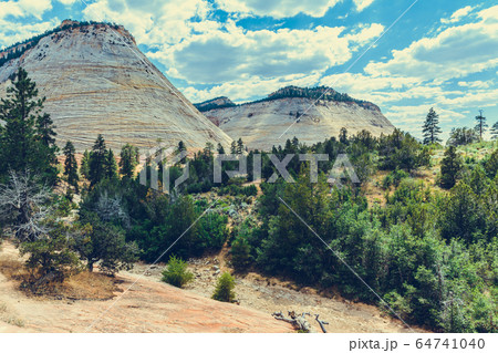 Zion National Park, Utah, USA Zion National Park, Utah, USA 64741040