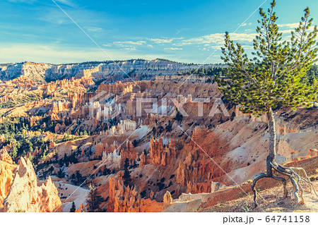 Bryce Canyon National Park, Utah, USA 64741158