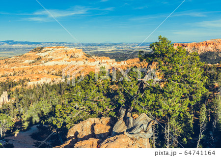 Bryce Canyon National Park, Utah, USA 64741164