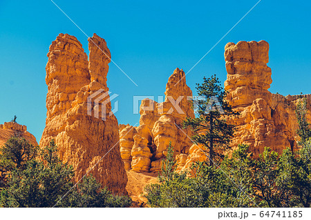 Bryce Canyon National Park, Utah, USA 64741185