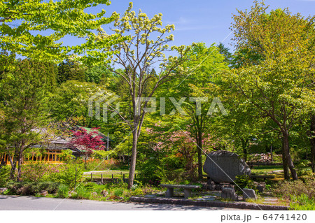 新緑鮮やかな蔦温泉 64741420