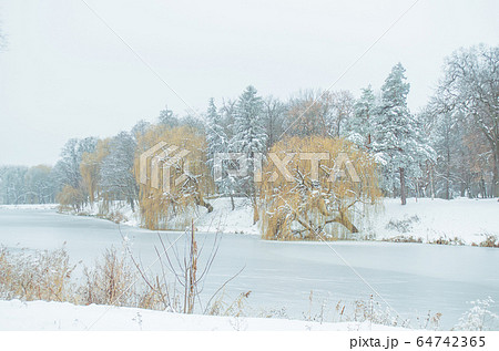Winter landscape with lake 64742365