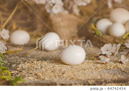 Close-up view of raw chicken eggs Close-up view of raw chicken eggs 64742454