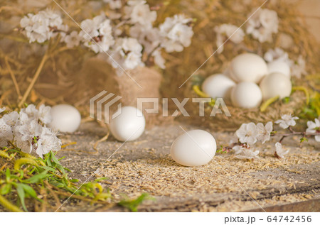 Close-up view of raw chicken eggs Close-up view of raw chicken eggs 64742456