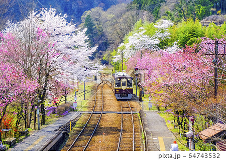 花桃とローカル鉄道 64743532