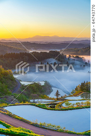 初夏の星峠の棚田　朝の風景　雲海　【新潟県】 64743770