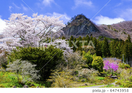 春の駒形岩 64743958