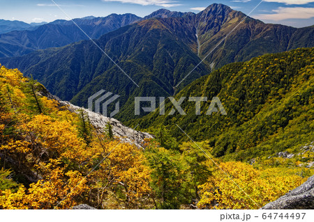 鳳凰山・赤抜沢ノ頭から見る白峰三山とダケカンバの黄葉 鳳凰山・赤抜沢ノ頭から見る白峰三山とダケカンバの黄葉 64744497