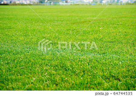 緑の芝のサッカーグラウンドの写真素材