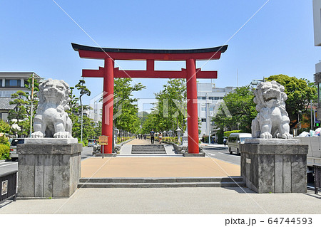 神奈川県鎌倉市 段葛の鳥居 夏 新緑 鶴岡八幡宮 神奈川県鎌倉市 段葛の鳥居 夏 新緑 鶴岡八幡宮 64744593