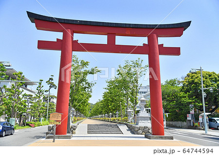 神奈川県鎌倉市　段葛の鳥居　夏　新緑　鶴岡八幡宮 64744594