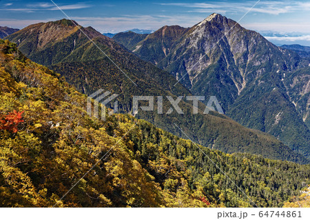 鳳凰三山・地蔵岳の賽の河原のダケカンバの黄葉と甲斐駒ヶ岳 鳳凰三山・地蔵岳の賽の河原のダケカンバの黄葉と甲斐駒ヶ岳 64744861