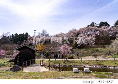福島県二本松市　春の安達ヶ原ふるさと村　水車小屋 64746571