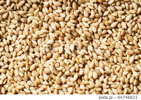 一面に敷き詰めた白ごま 64746621