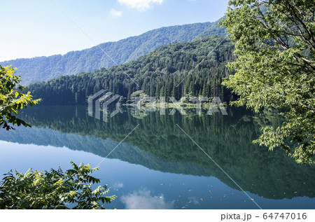 鷲ダム 鷲ダム 64747016